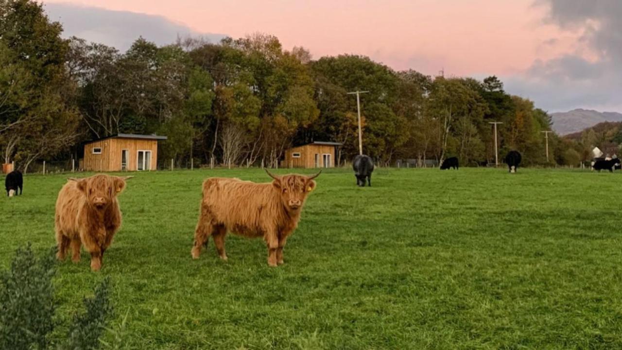 Cruachan Cabin Oban Kültér fotó